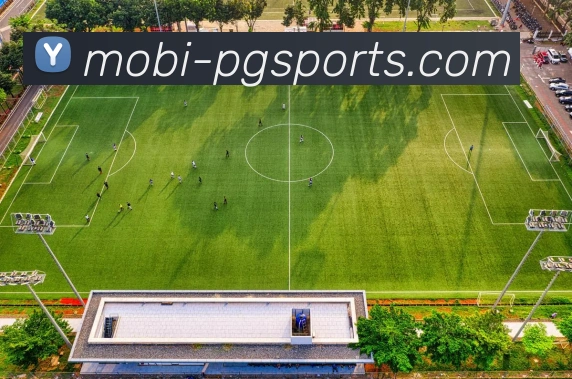 南宫体育APP 封面图